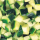 Courgette blok 1x1cm