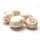 Witte champignons