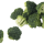 Broccoli G