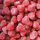Aardbeien DV