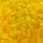 Paprika geel 10x10 DV