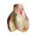 Runderknieen v.bouil.