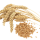Kamut©khorasan meel T100