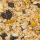 Muesli basis