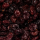 Cranberry droog 11,3 kg